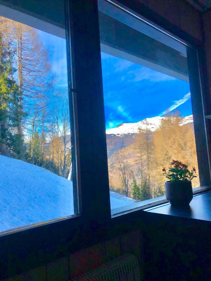 Apartamento **New**Marilleva 1400**Trilocale Sulle Piste Exterior foto